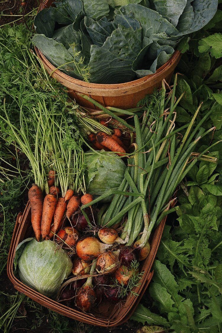 A basket of fresh garden vegetables